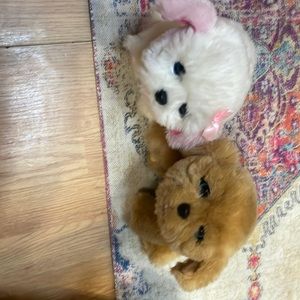 Little live pets interactive puppies